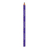 pencil Notre-Dame de paris