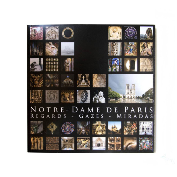 Photo Book of Notre-Dame de Paris REGARDS - VIEWS - MIRADAS