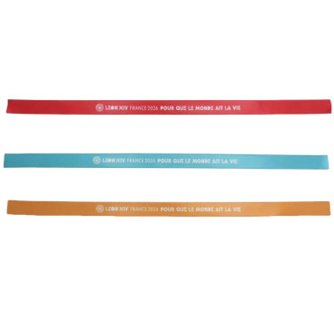 Lot de 3 bracelets satin visite pape Léon XIV Notre-Dame de Paris